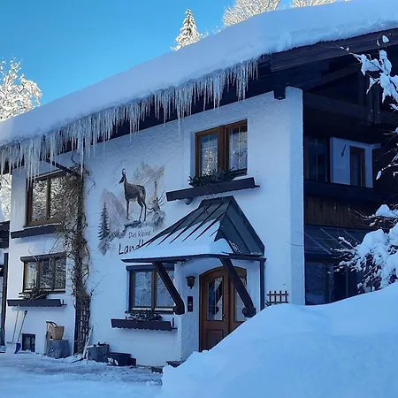 Apartamento Lassie - Ihre Allgaeu-auszeit Mit Hund Oberstdorf